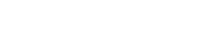 Autographic Insight logo